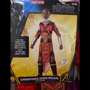 Wakanda-S-Dora-Milaje-Black-Panther Costume